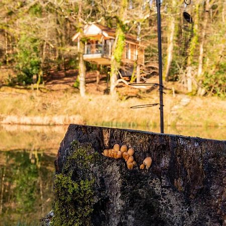 Finest Retreats - The Tree House - Eco-Friendly, Back To Nature Experience Germansweek Exterior foto