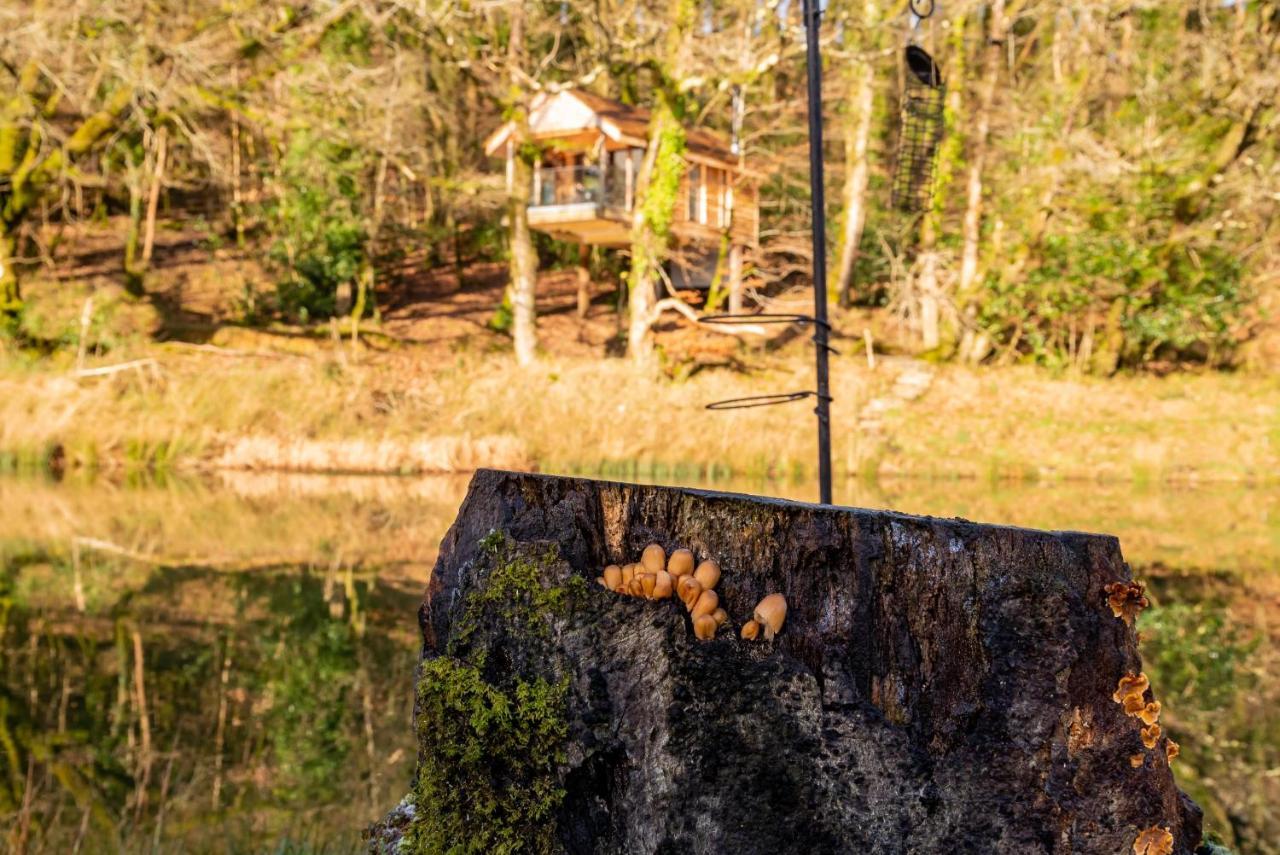 Finest Retreats - The Tree House - Eco-Friendly, Back To Nature Experience Germansweek Exterior foto