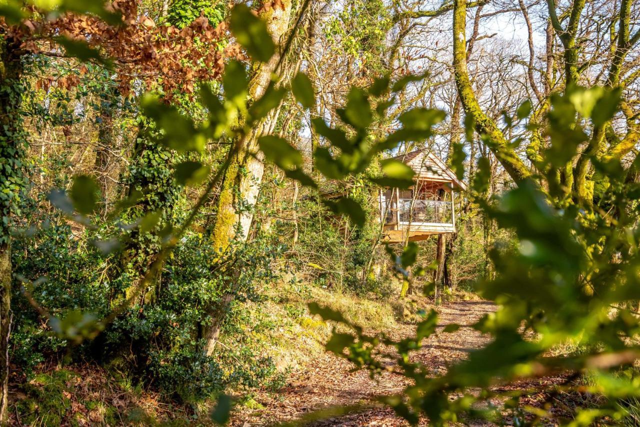 Finest Retreats - The Tree House - Eco-Friendly, Back To Nature Experience Germansweek Exterior foto